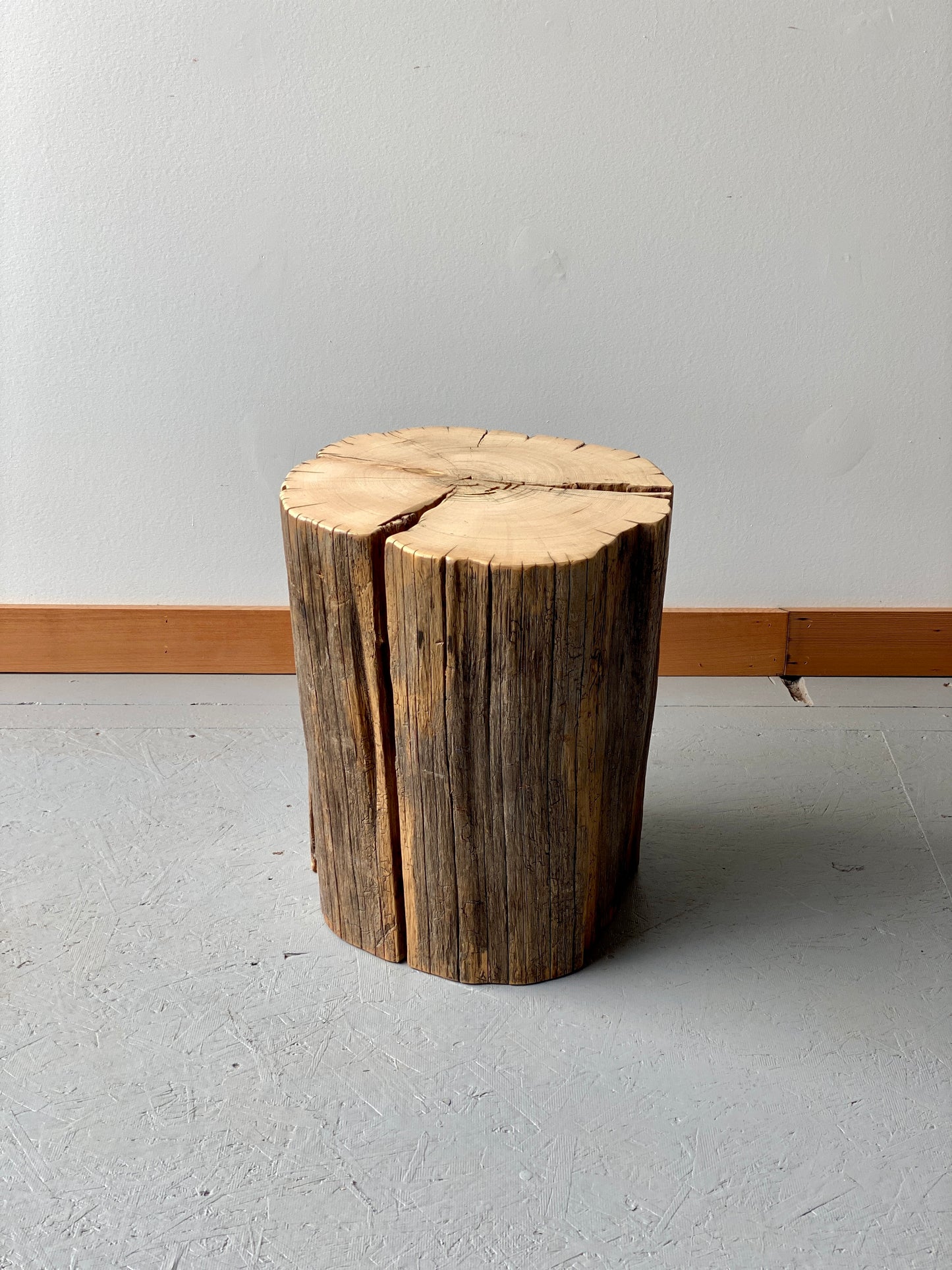 Yellow Cedar Stump
