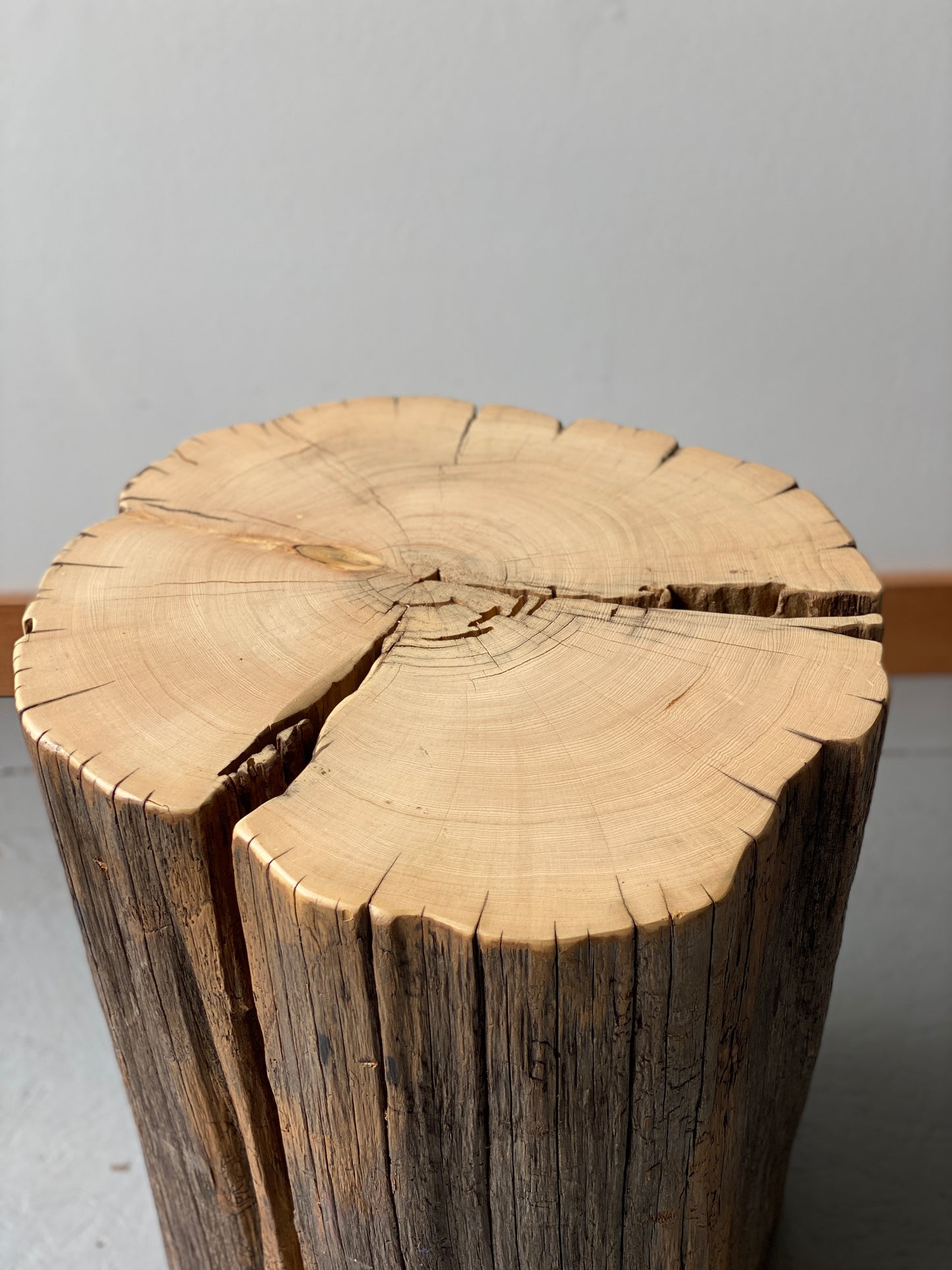 Yellow Cedar Stump