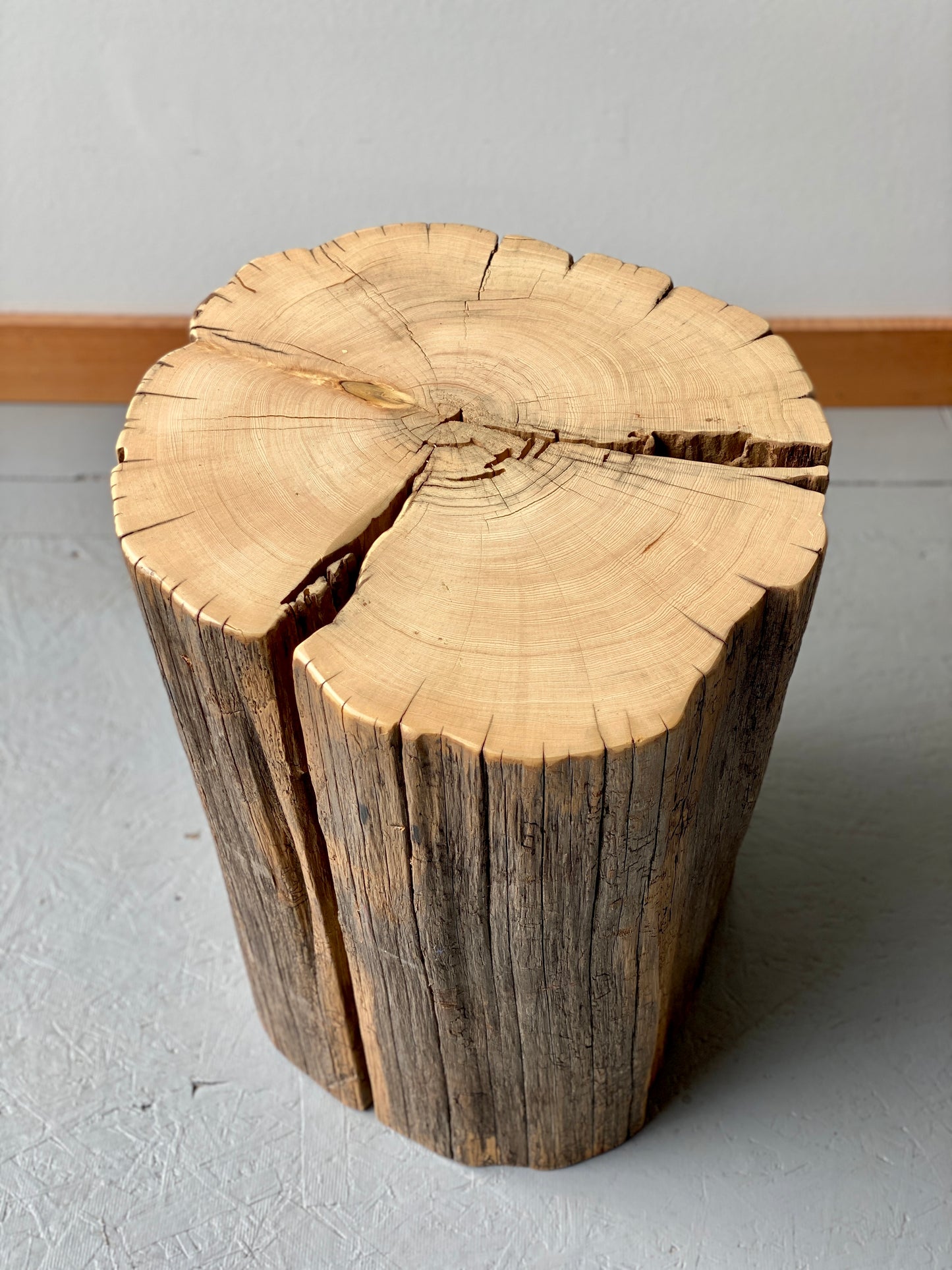Yellow Cedar Stump