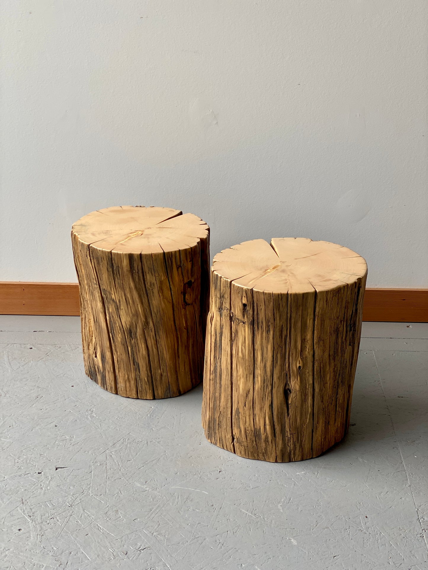 Yellow Cedar Stump