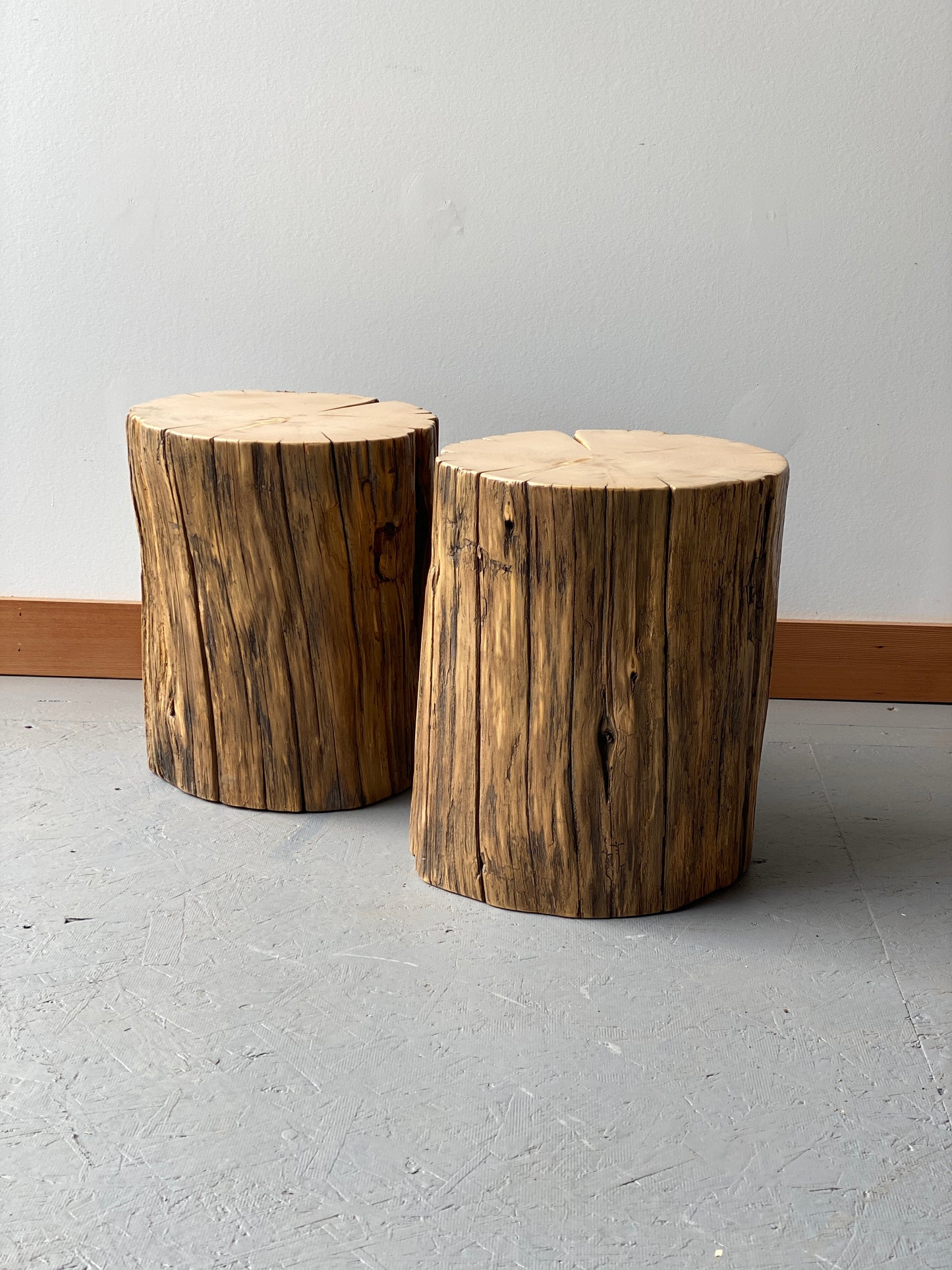 Yellow Cedar Stump