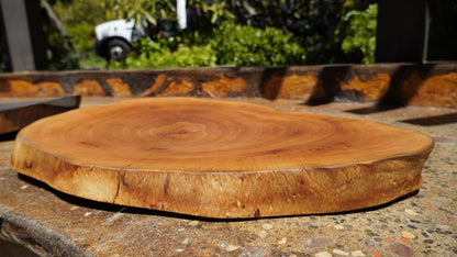 Fruit bowl for sale made of avocado wood