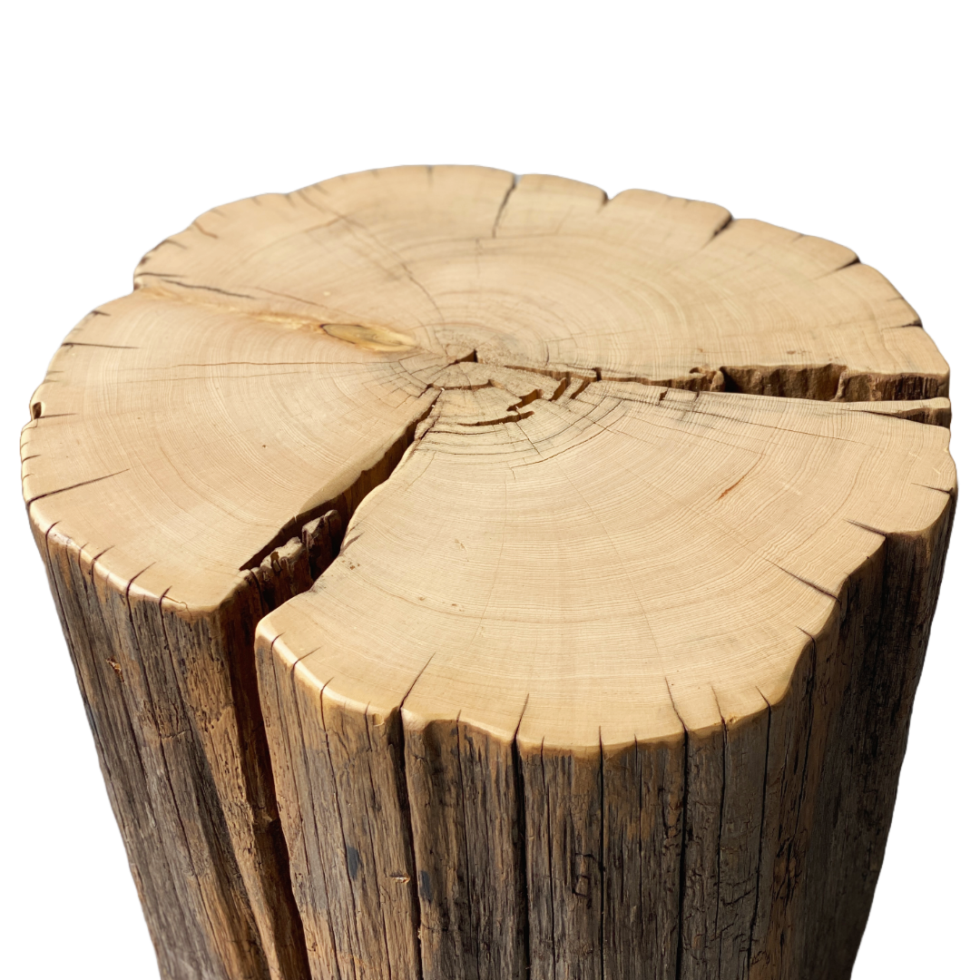 Get cedar stumps in San Diego, the best wood